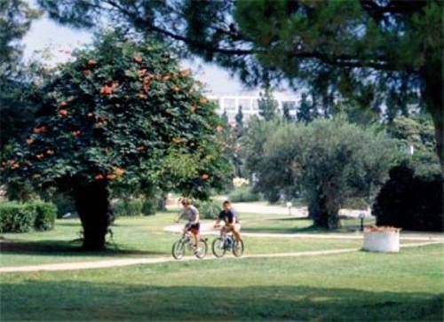 Hôtel Gerakina Beach à Chalcidique Extérieur photo